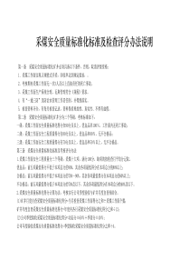 副本安全质量标准化标准及检查评分办法说明