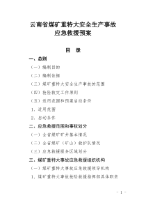 61云南省煤矿重特大安全生产事故应急救援预案