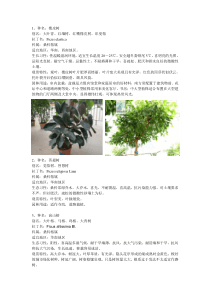 常见园林植物(广东省)1