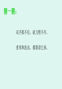 《生命与水》PPT