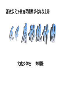 七年级上册数学课件_6.4 扇形统计图