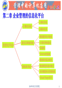 第二章企业管理的信息化平台