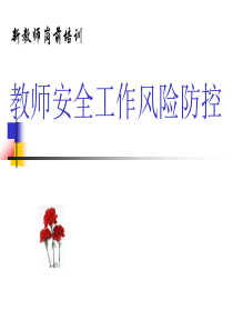 教师岗前培训—安全篇