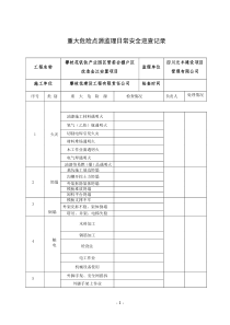 重大危险源检查记录表