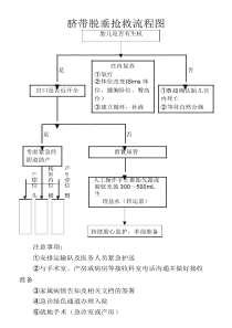 脐带脱垂抢救流程图