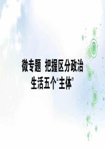 2019-2020年高考政治一轮复习课件：2.3(微专题)把握区分政治生活五个“主体”专项训练