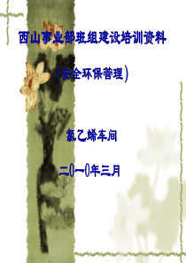 班组建设安全培训资料(氯乙烯车间)