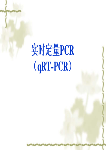 实时定量PCR-