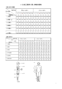 主要人体尺寸数据