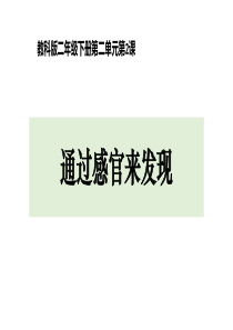 通过感官来发现ppt