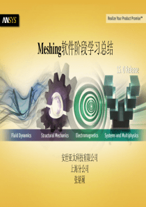 Ansys Meshing学习总结