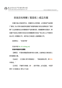 公司成立方案-1