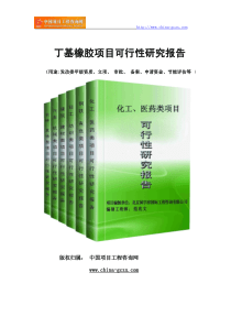 丁基橡胶项目可行性研究报告范文格式(专业经典案例)