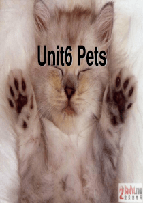 pets ppt