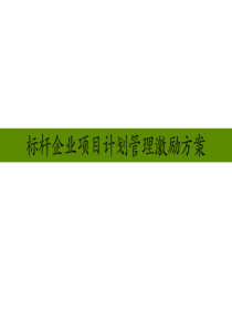 房地产标杆企业项目运营激励方案