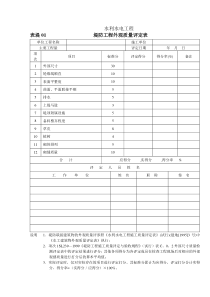 堤防工程外观质量及单元工程质量评定表