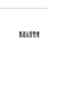 渠道管理(电信案例)PPT