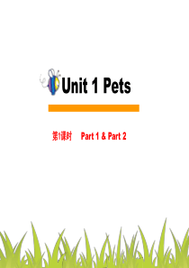 Pets(第1课时)