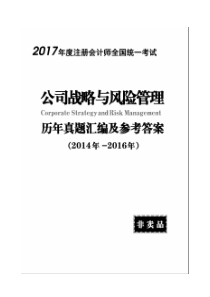 2017年公司战略与风险管理试题