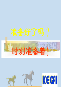 方程与不等式复习课件