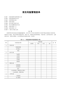 项目风险管理表单