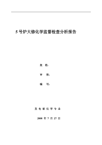 机炉大修化学检查报告