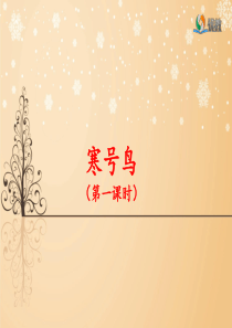 《寒号鸟》名师课件(第一课时)