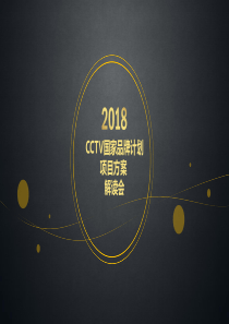 2018年CCTV国家品牌计划项目书(草案-PPT)