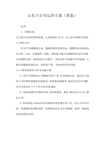 山东子公司运营方案