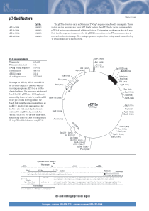 PET质粒图谱大全