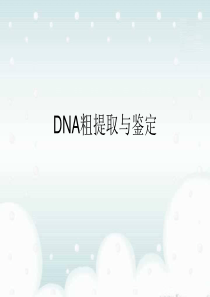 生物：DNA粗提取与鉴定实验复习题精练资料