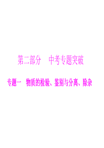 2013年广东省中考化学复习课件：-专题一-物质的检验、鉴别与分离、除杂