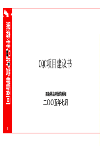 CQC项目建议书(2)