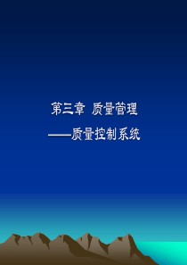 质量控制系统(1)