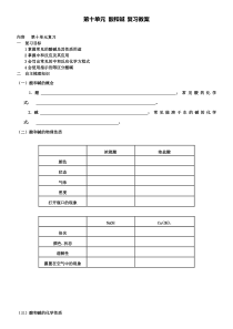 人教版化学九年级下册(新)第十单元酸和碱复习教案