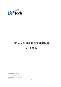 DPtechDPX8000系列典型配置v11