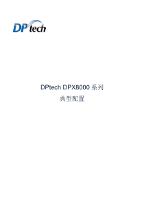 DPtechDPX8000系列典型配置v13