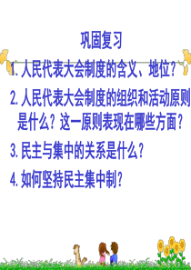 《人民代表大会制度具有强大生命力》课件(选修3)