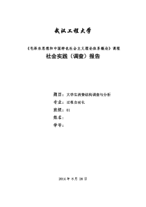 毛概社会实践调查报告范文