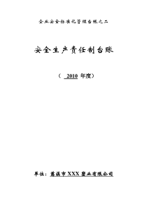 安全生产责任制台账