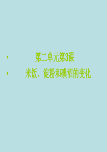 六年级下册科学米饭、淀粉和碘酒的变化教科版-(21)