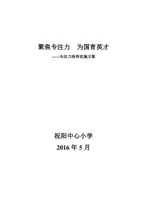 专注力培养实施方案最新