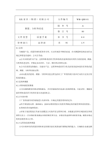 测量分析和改进质量手册