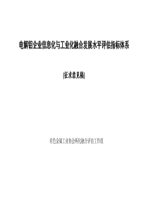 电解铝企业信息化与工业化融合发展水平评估指标体系