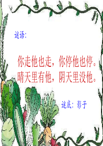 5影子ppt课件