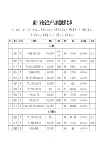 南宁市安全生产专家组成员名单(20101229)