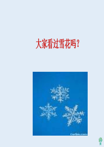 12看雪(课件)