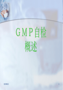 GMP自检概述