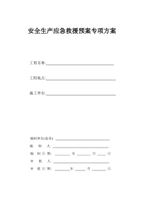 安全生产应急救援预案专项方案2