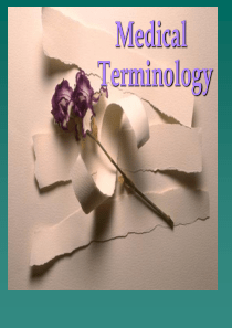 Medical_Terminology